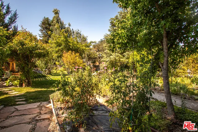 a view of a tree with a yard