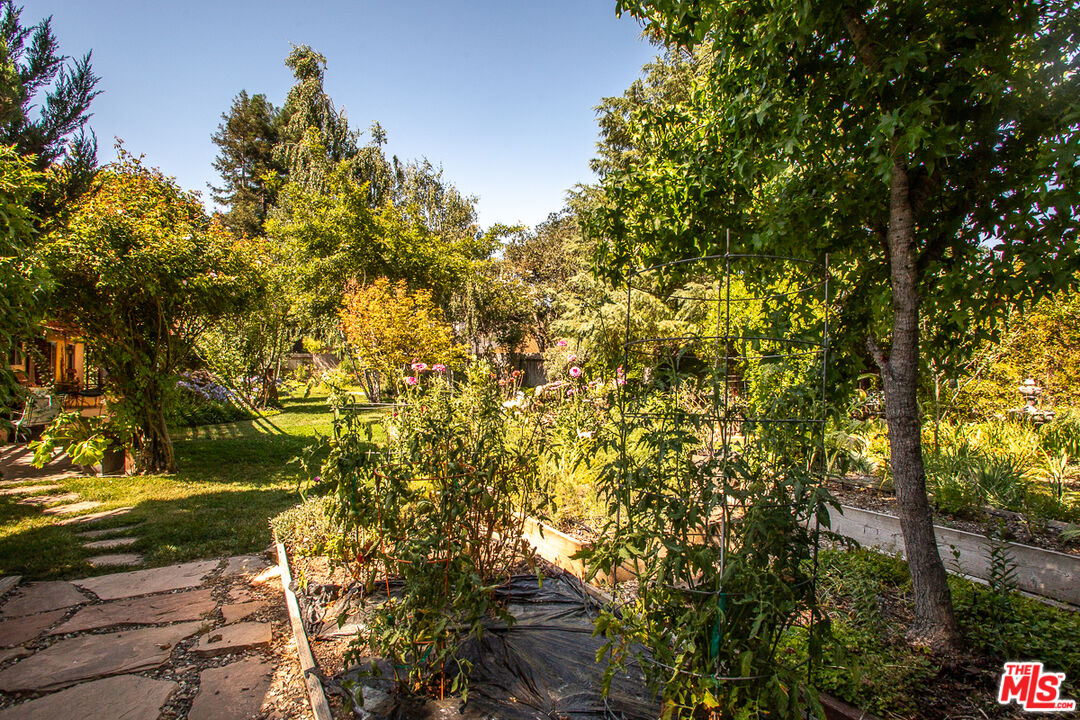 969 Vintage Way Los Alamos, CA 93440 - Photo 32 of 59 a view of a tree