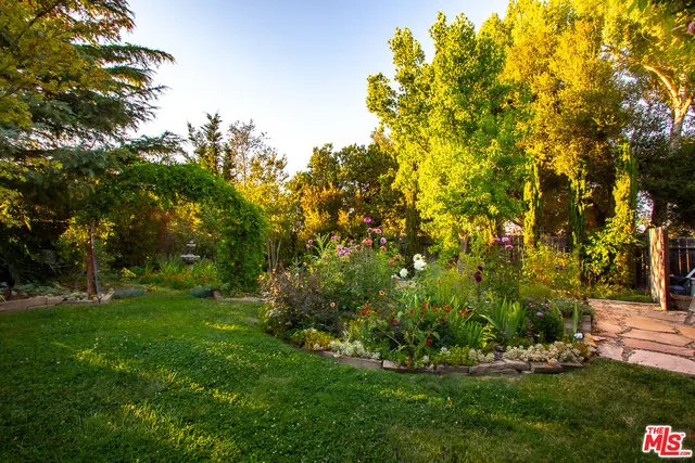 a view of a tree in a garden of a house