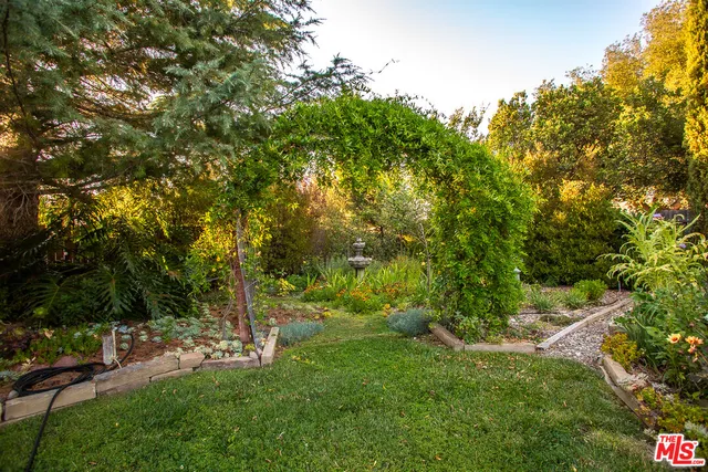 a view of a flower in a garden