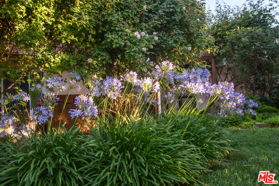 969 Vintage Way Los Alamos, CA 93440 - Photo 46 of 59