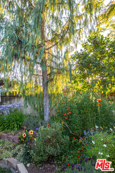 969 Vintage Way Los Alamos, CA 93440 - Photo 47 of 59 a view of a tree in a garden of a house