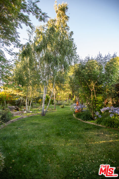 969 Vintage Way Los Alamos, CA 93440 - Photo 48 of 59 a view of a park