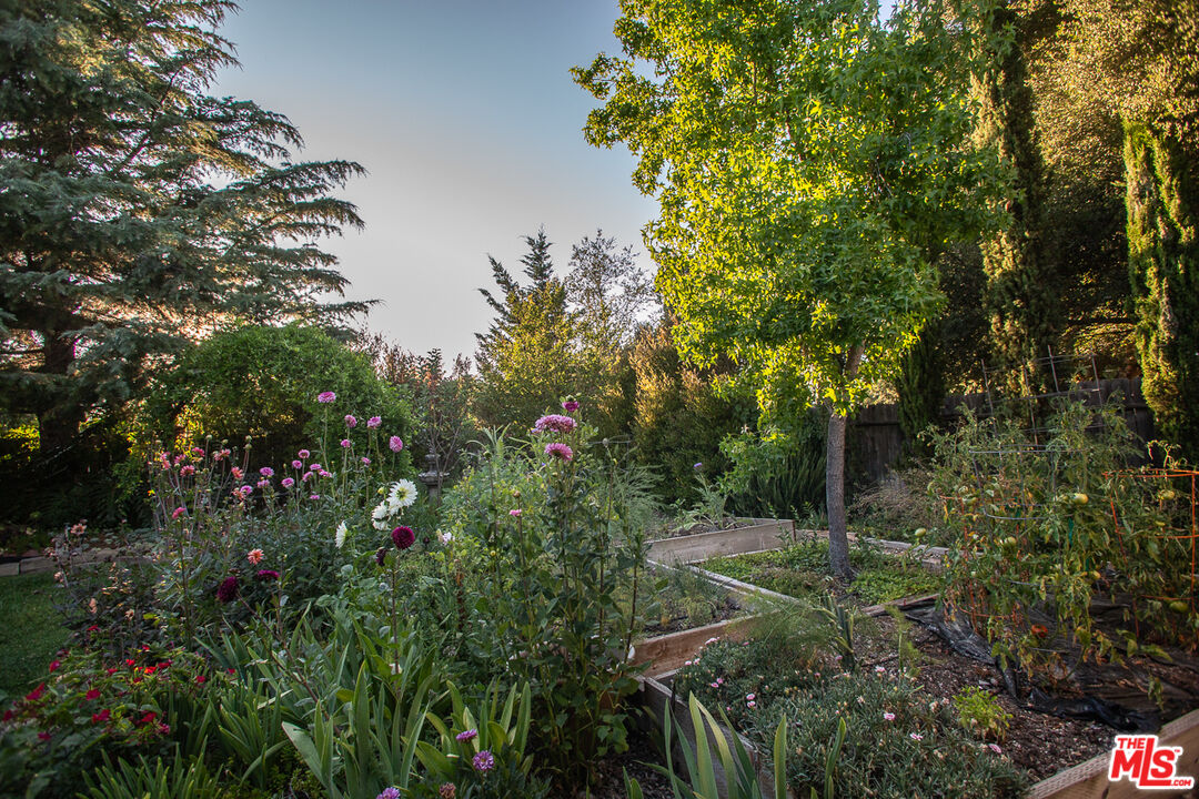 969 Vintage Way Los Alamos, CA 93440 - Photo 49 of 59