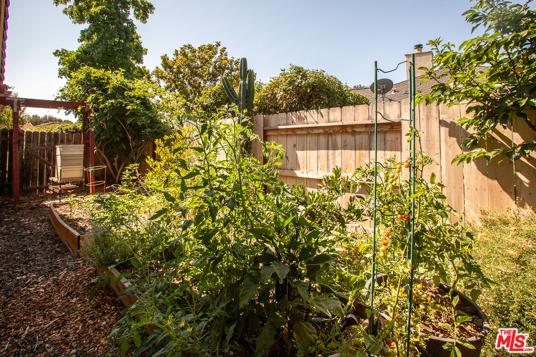 969 Vintage Way Los Alamos, CA 93440 - Photo 52 of 59 a view of a large yard with plants and large trees