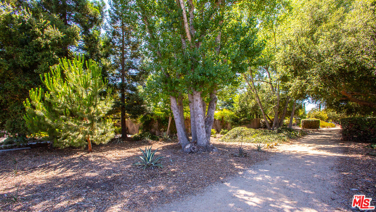 969 Vintage Way Los Alamos, CA 93440 - Photo 54 of 59 a view of outdoor space with trees