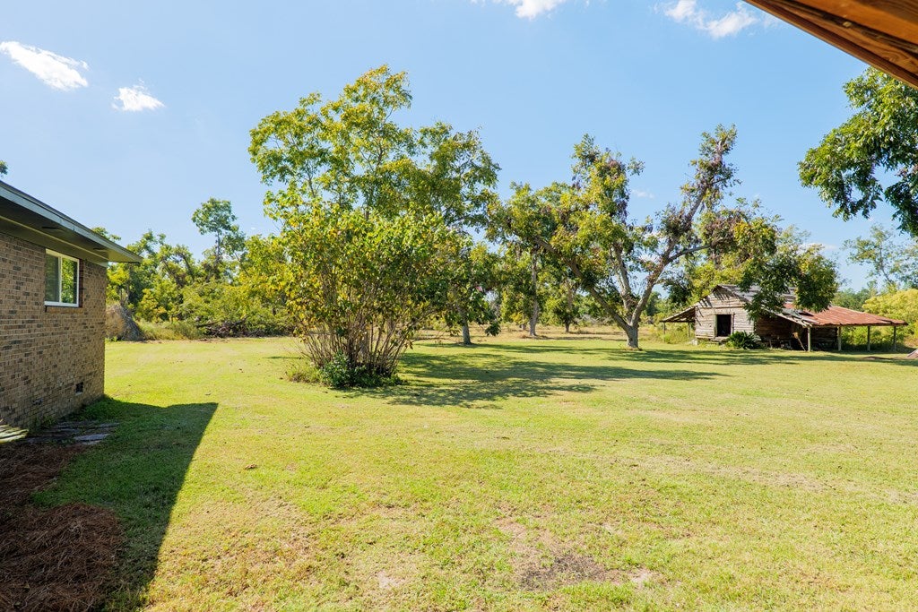 288 Johnson Road Naylor, GA 31641 - Photo 43 of 50 Gallery Image 43