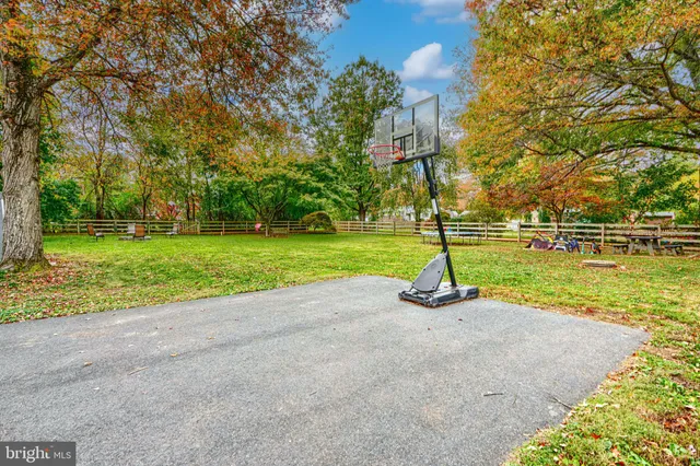 a view of a park with large tree