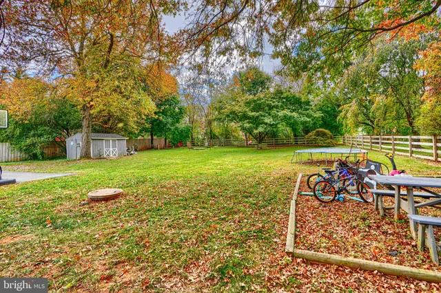 a park view with a fountain
