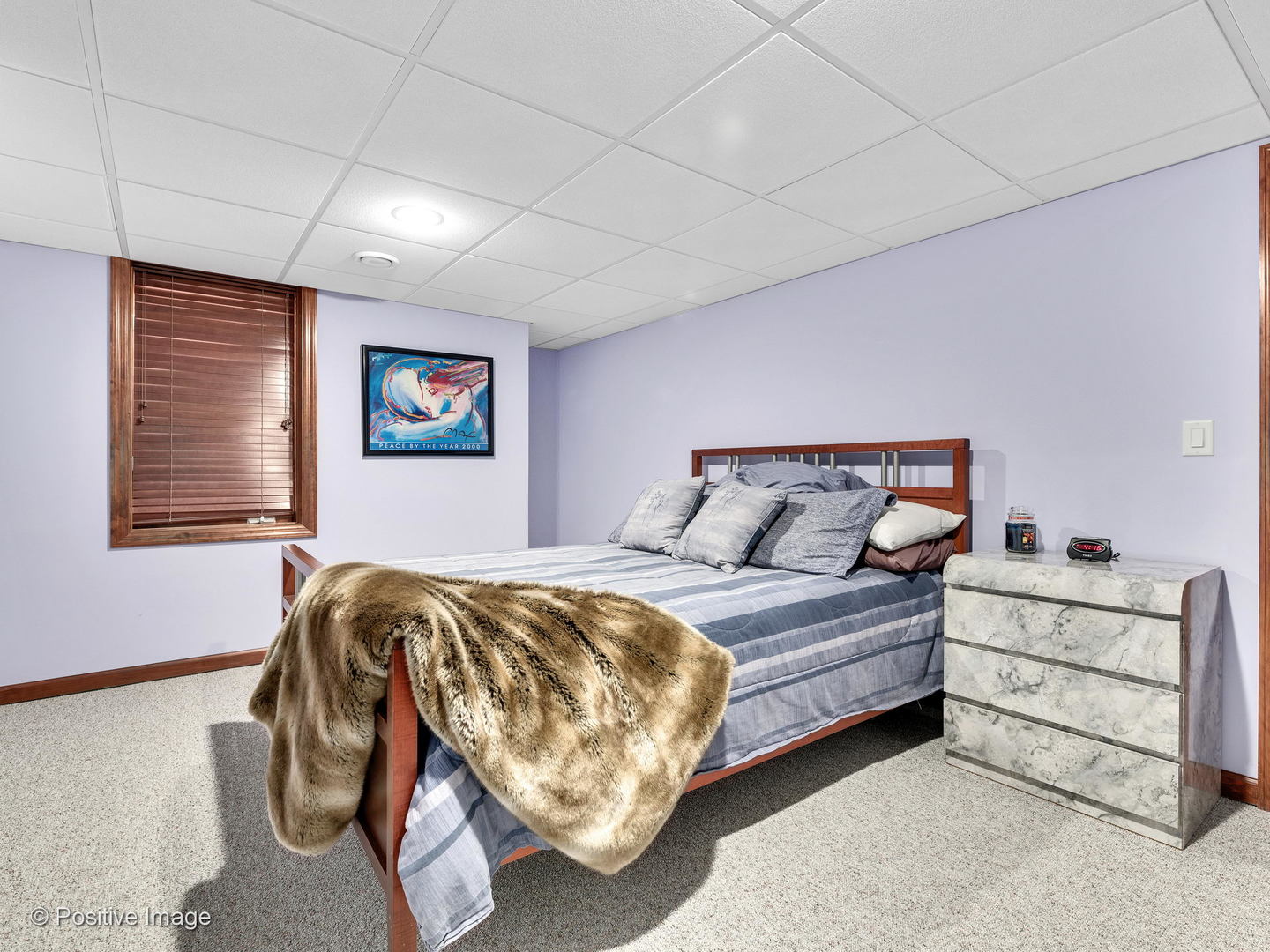 3524 Spring Road Oak Brook, IL 60523 - Photo 36 of 42