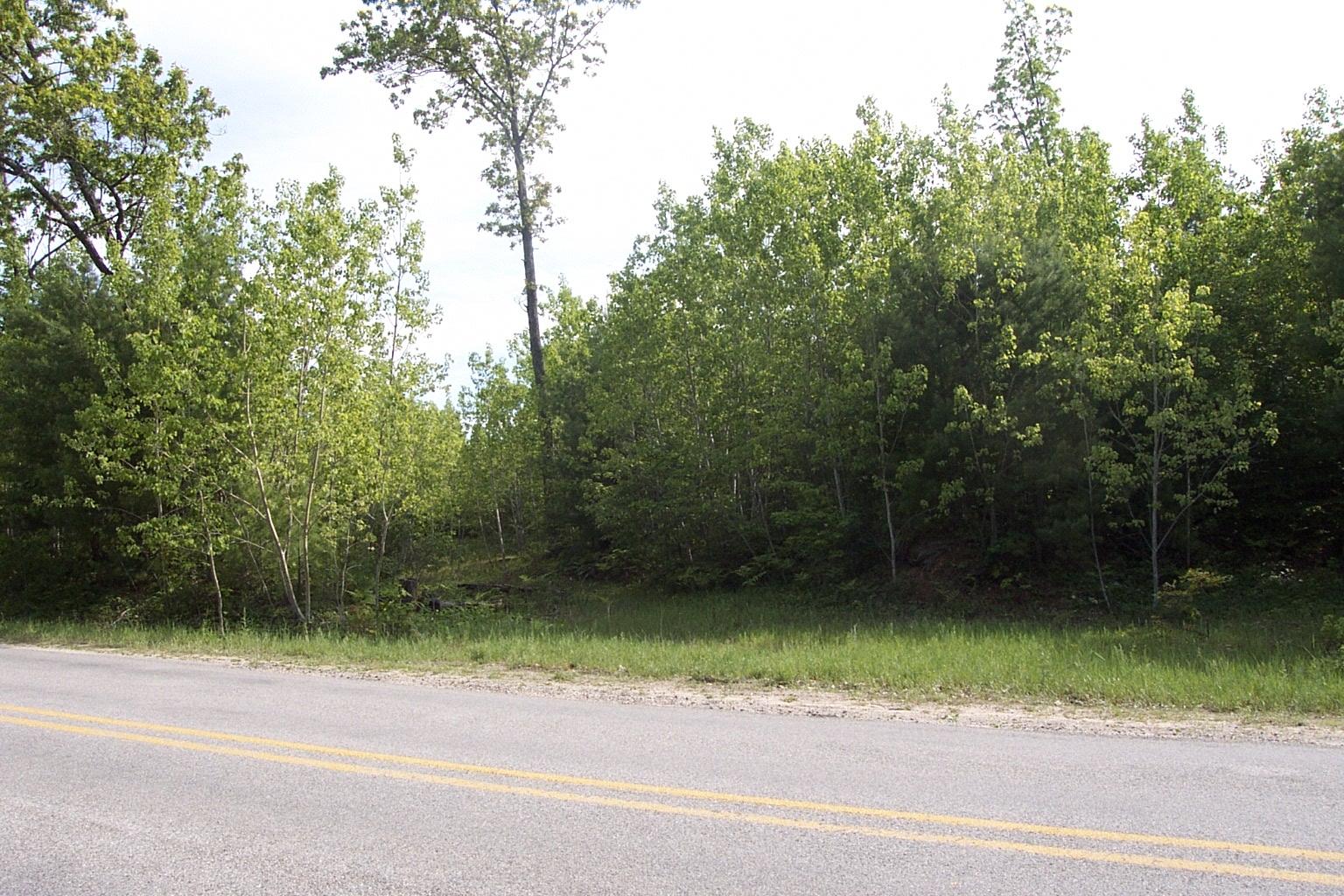 0 Fleming Road Lewiston, MI 49756 - Photo 1 of 11 Gallery Image 1
