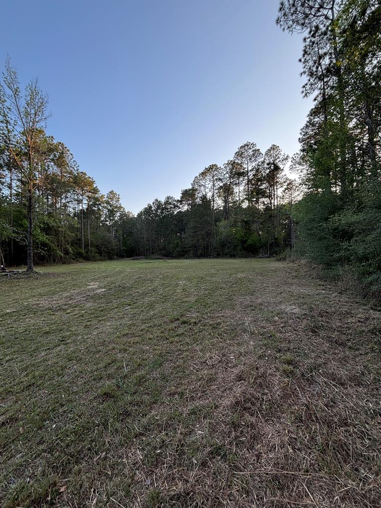 310 Pine Grove Road Picayune, MS 39466 - Photo 14 of 14 Gallery Image 14