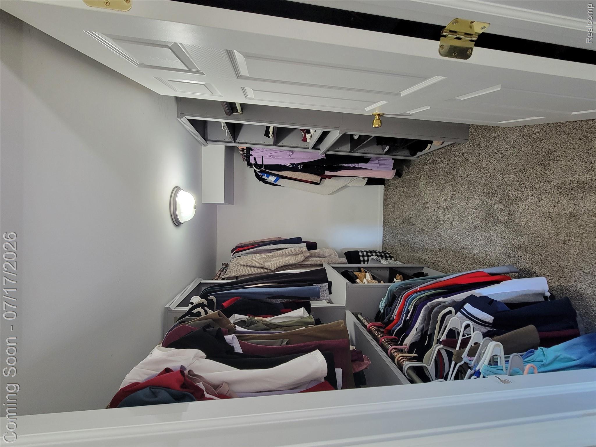 1655 Riverside Drive, Unit 10 Rochester, MI 48309 - Photo 35 of 44 Walk-in closet featuring built-in shelving, hanging rods, and carpet flooring