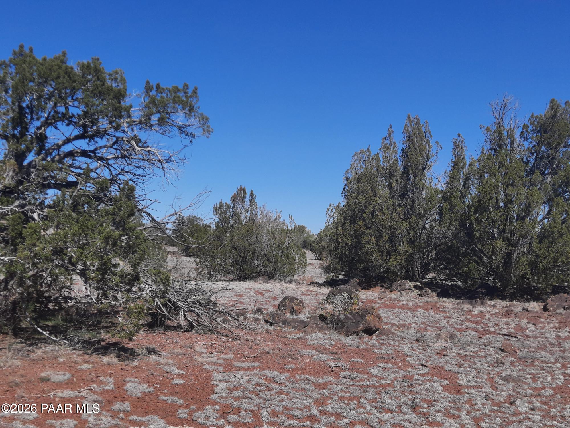 1358 West Greenhorn Road Seligman, AZ 86337 - Photo 11 of 16 20260311_114817