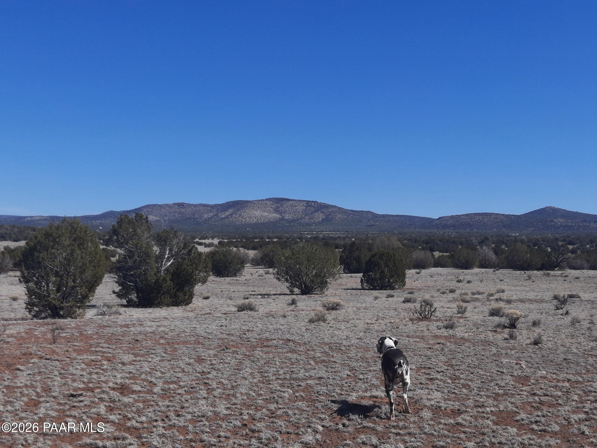 1358 West Greenhorn Road Seligman, AZ 86337 - Photo 12 of 16 20260311_114858