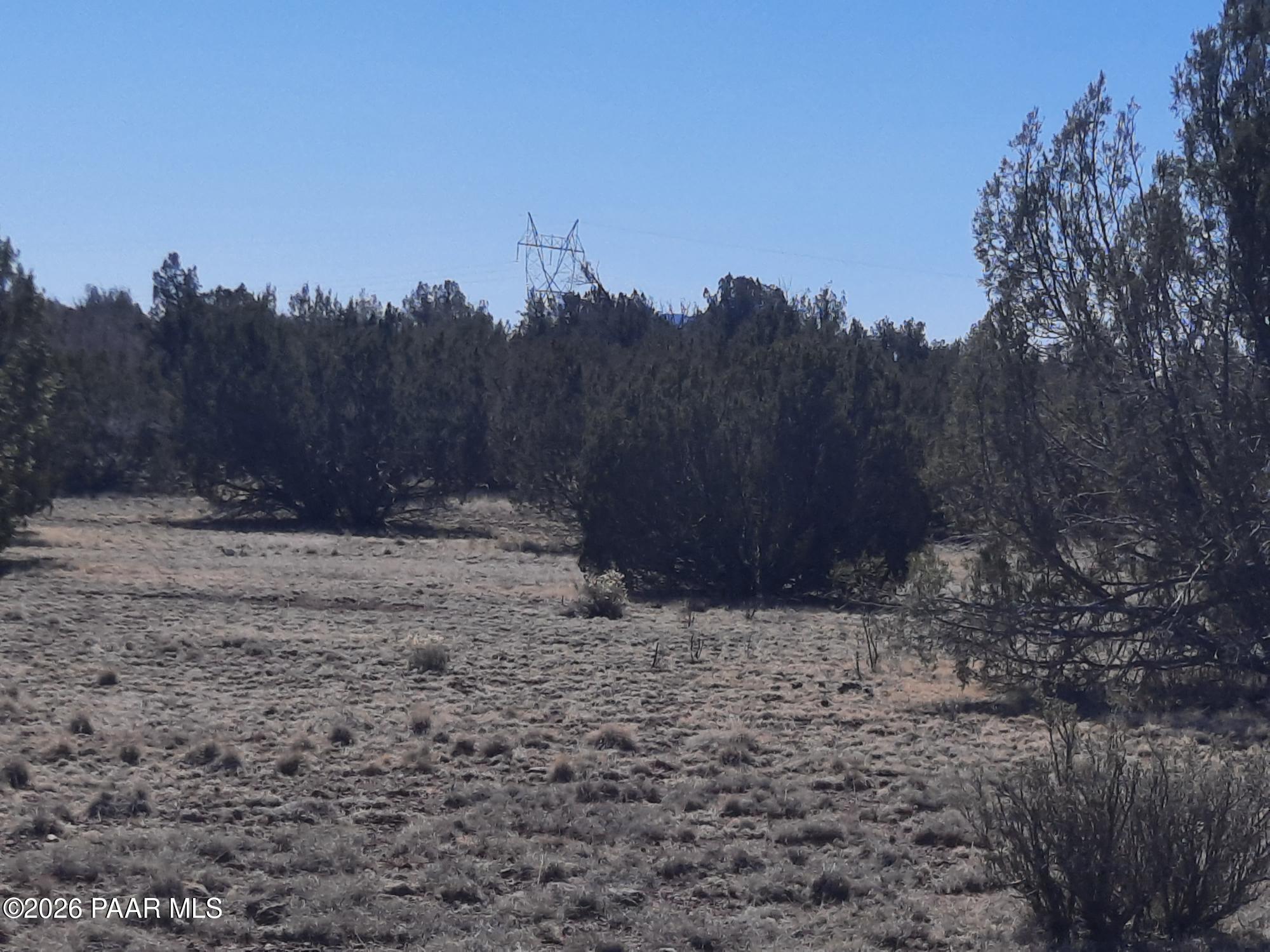 1358 West Greenhorn Road Seligman, AZ 86337 - Photo 13 of 16 20260311_114916