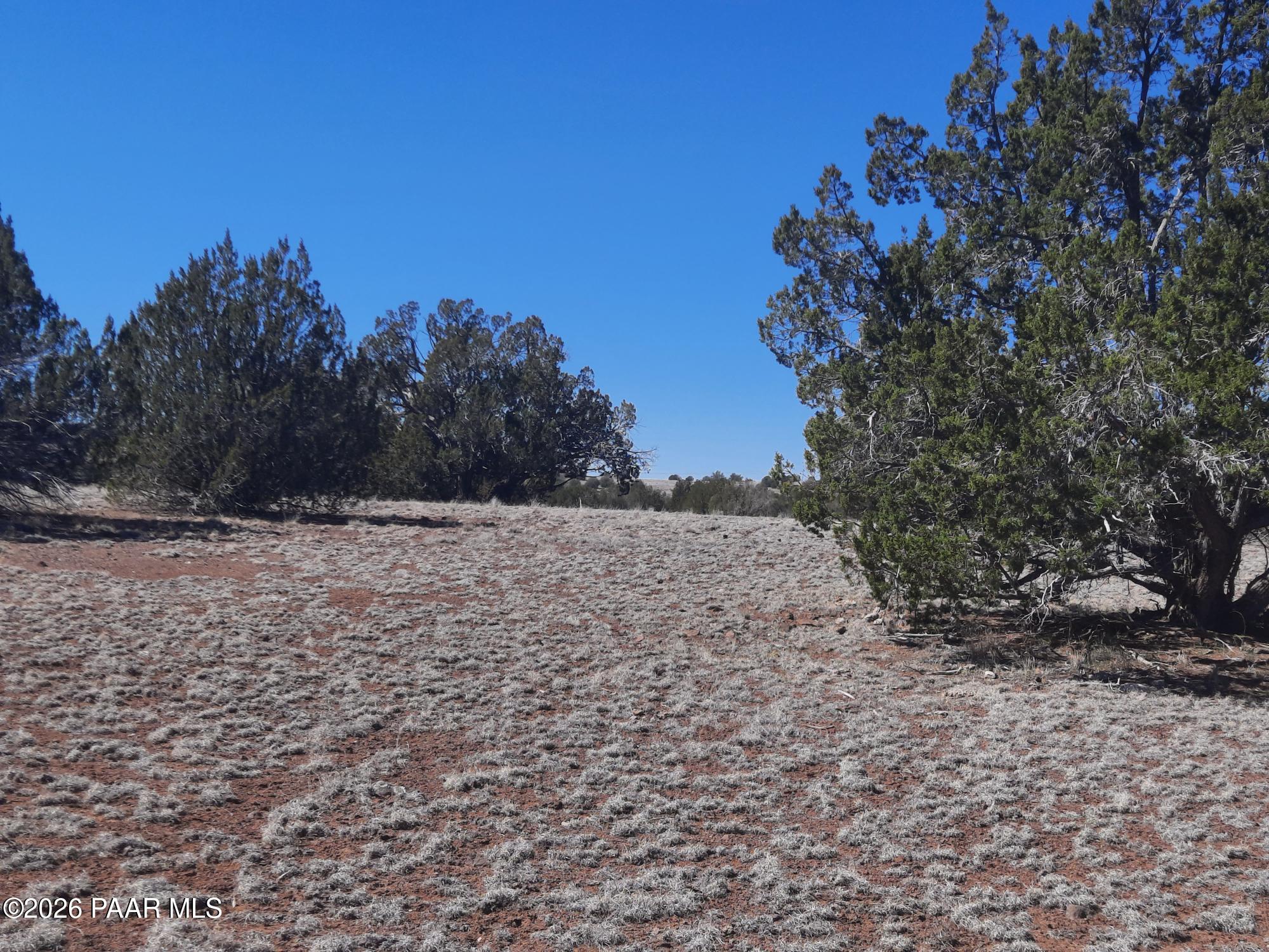 1358 West Greenhorn Road Seligman, AZ 86337 - Photo 14 of 16 20260311_114954