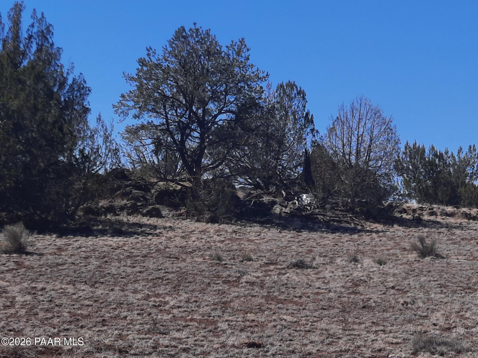 1358 West Greenhorn Road Seligman, AZ 86337 - Photo 15 of 16 20260311_115130