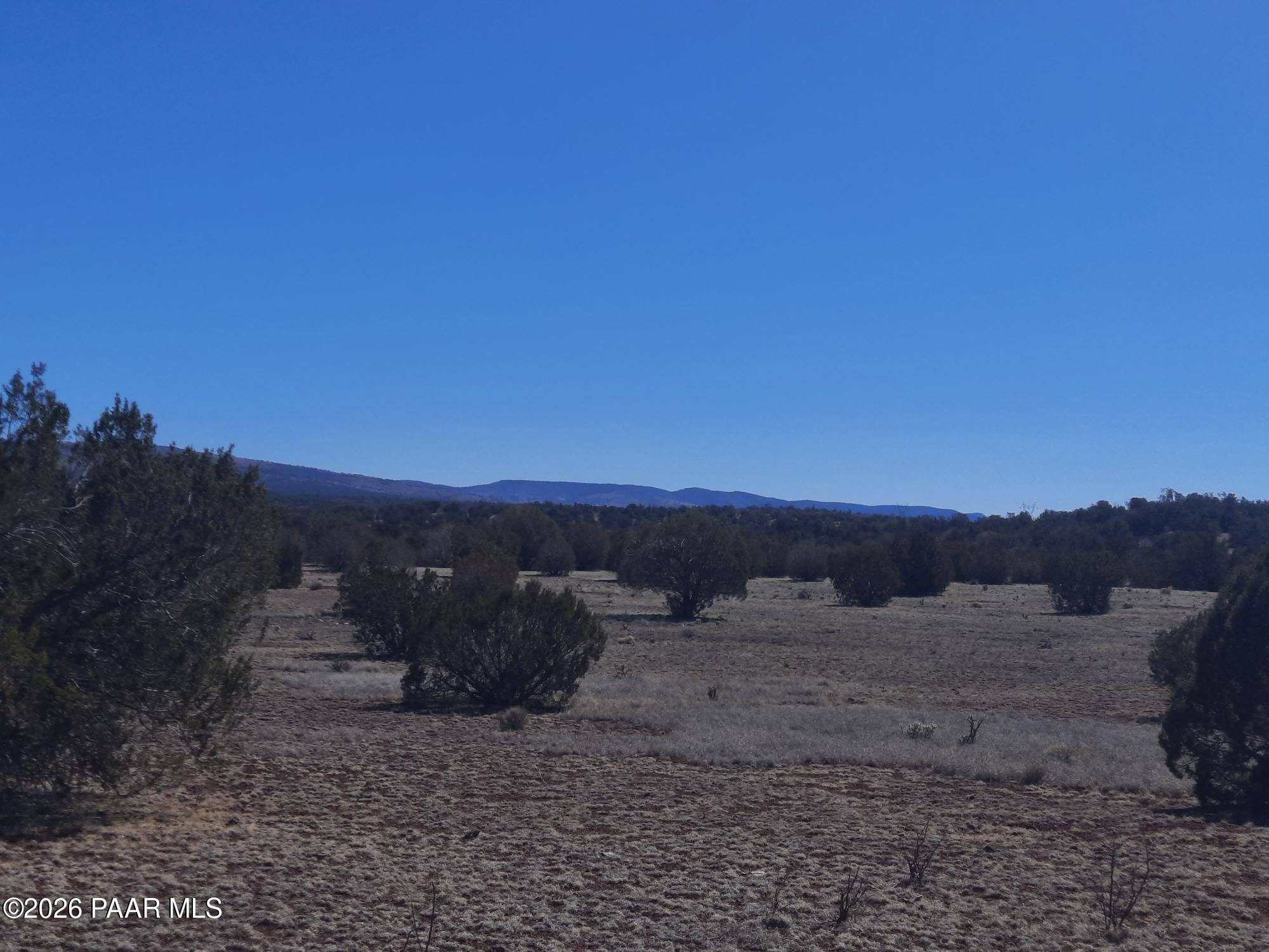 1358 West Greenhorn Road Seligman, AZ 86337 - Photo 4 of 16 20260311_114244