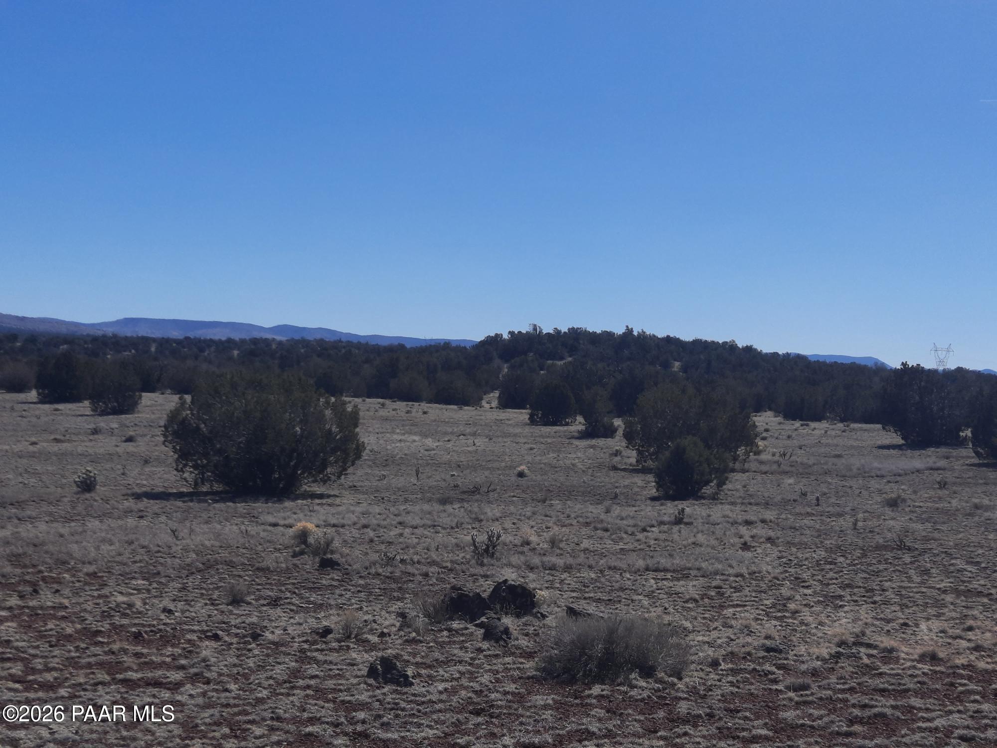 1358 West Greenhorn Road Seligman, AZ 86337 - Photo 5 of 16 20260311_114340