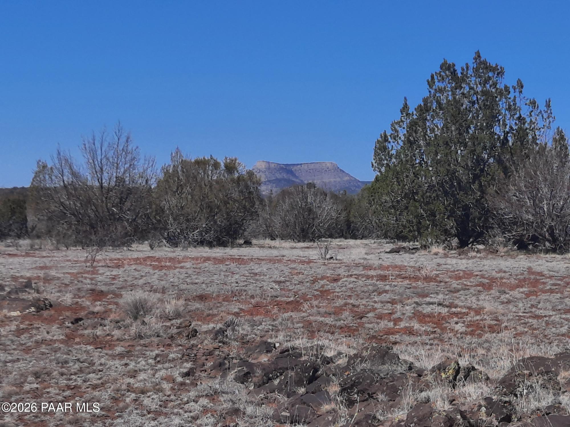 1358 West Greenhorn Road Seligman, AZ 86337 - Photo 6 of 16 20260311_114623