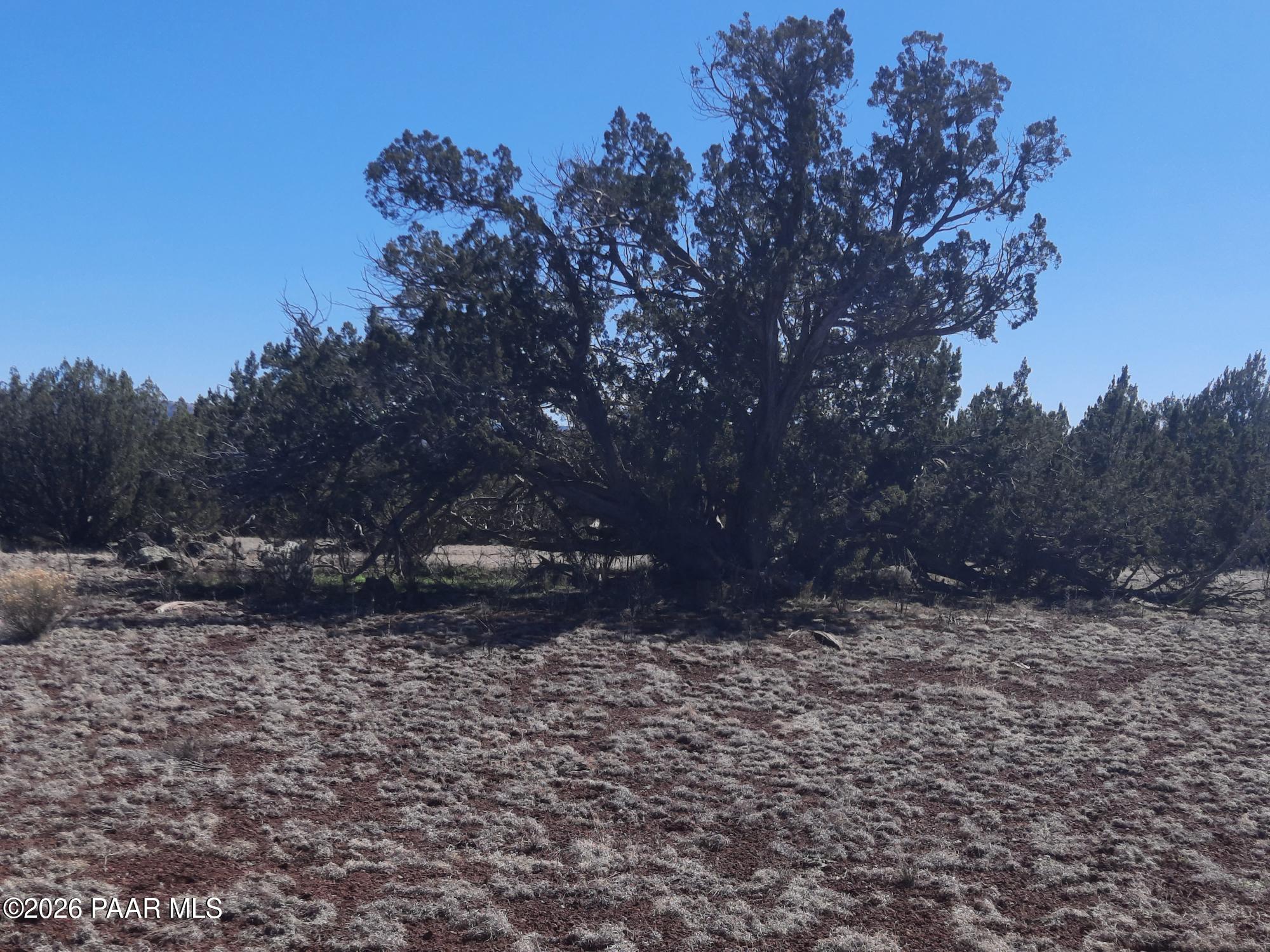 1358 West Greenhorn Road Seligman, AZ 86337 - Photo 8 of 16 20260311_114701