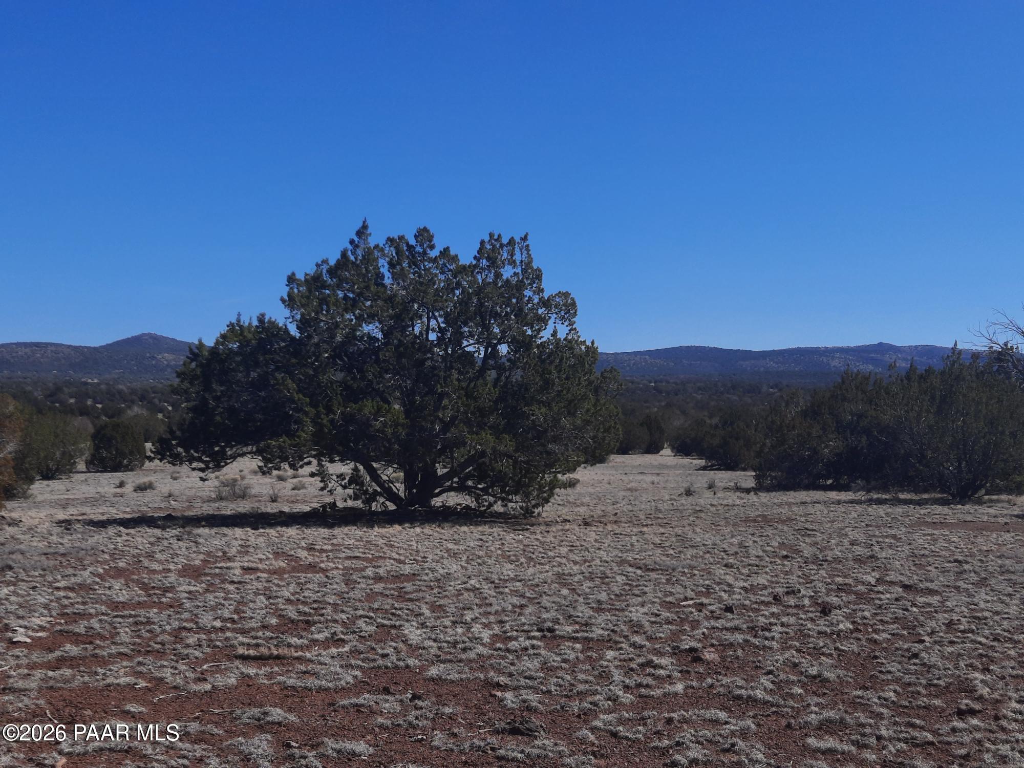 1358 West Greenhorn Road Seligman, AZ 86337 - Photo 9 of 16 20260311_114743