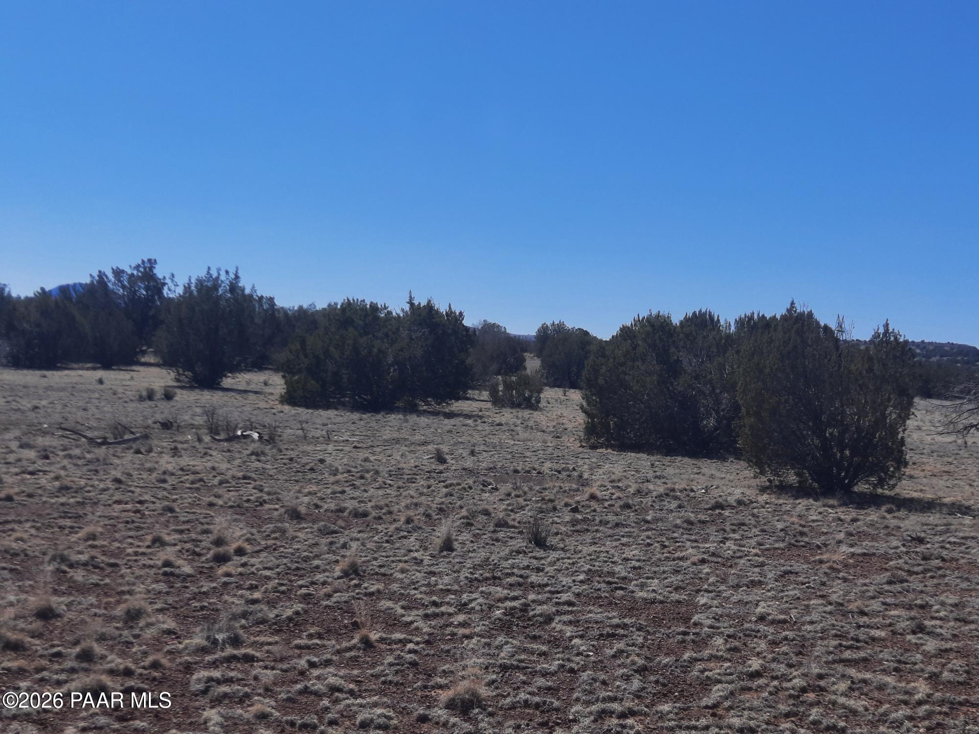 1358 West Greenhorn Road Seligman, AZ 86337 - Photo 10 of 16 20260311_114759