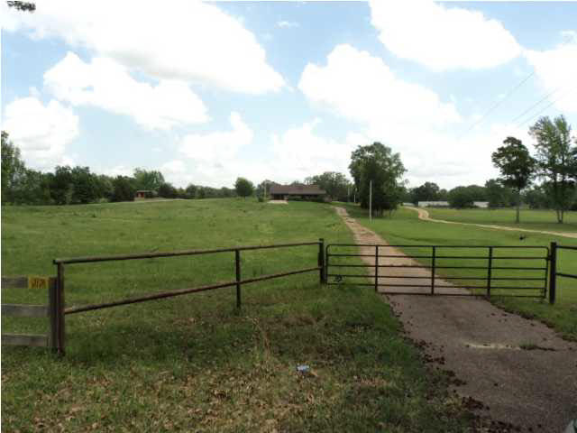 1609 Carsley Road Jackson, MS 39209 - Photo 3 of 9 Photo 3