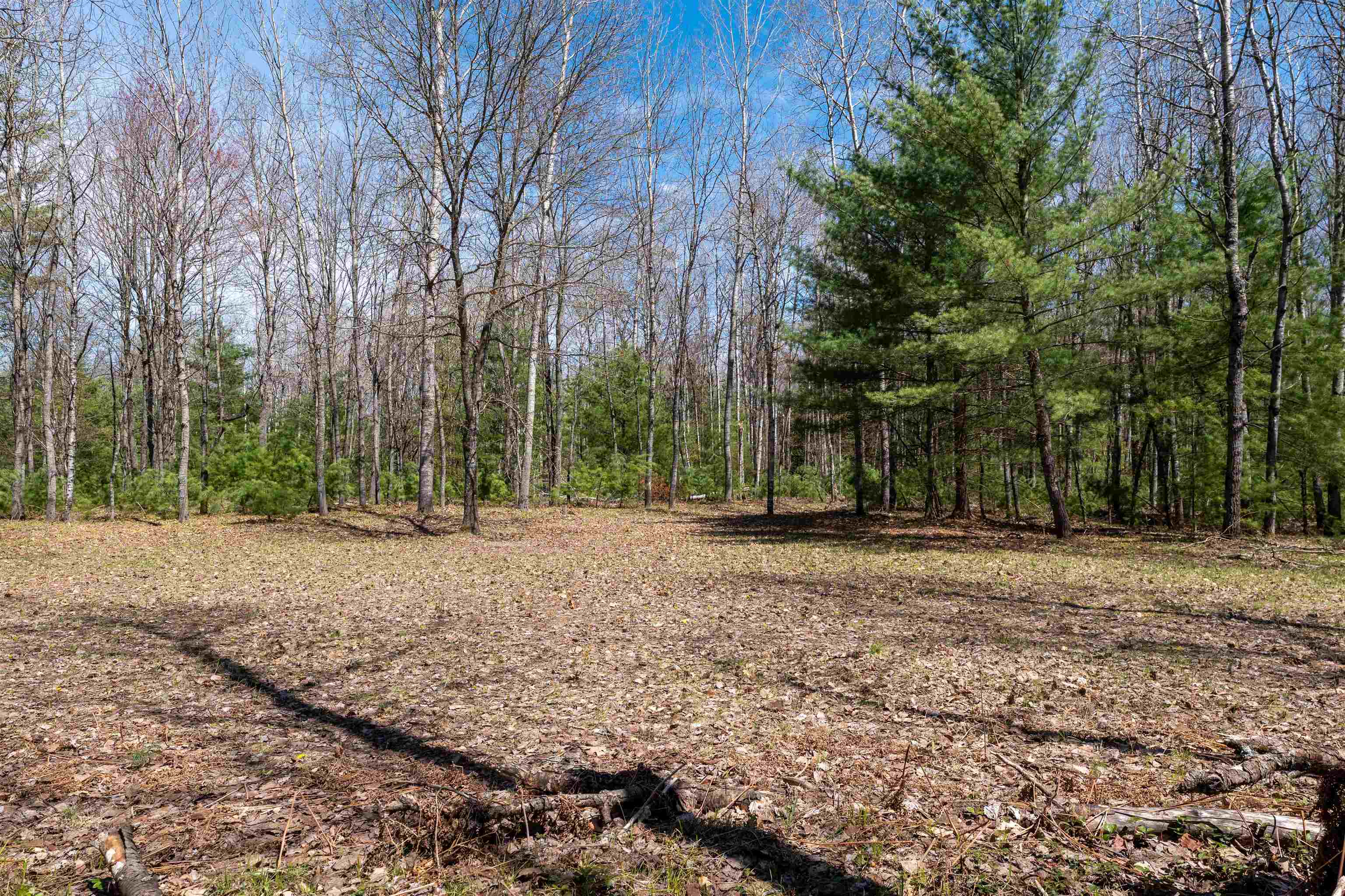 Vl Kolarvic Road Manton, MI 49663 - Photo 22 of 28