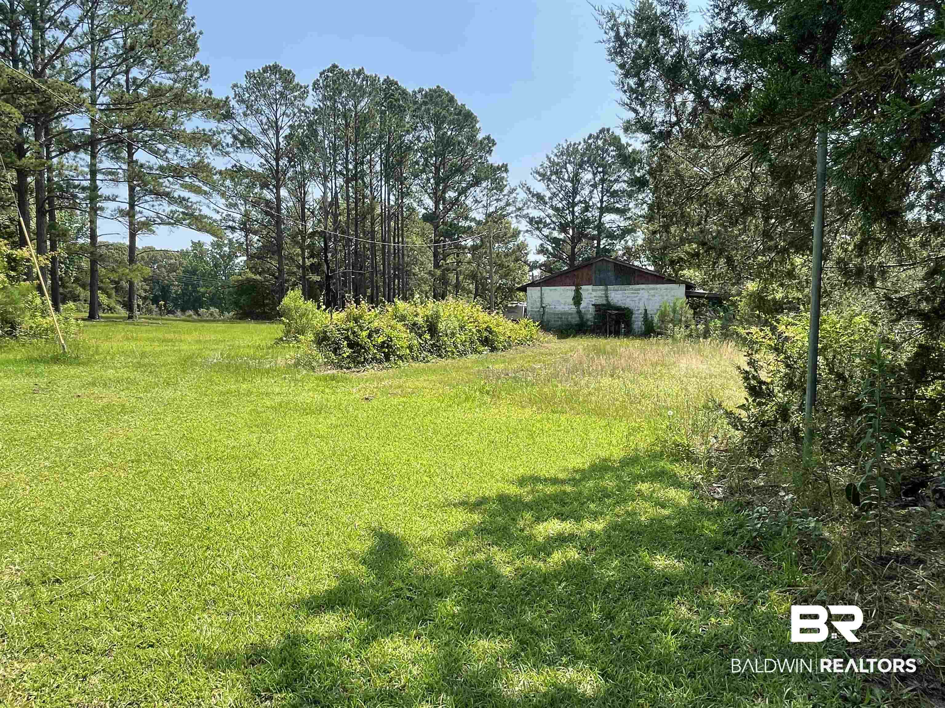 12150 County Road 17 Franklin, AL 36444 - Photo 5 of 23