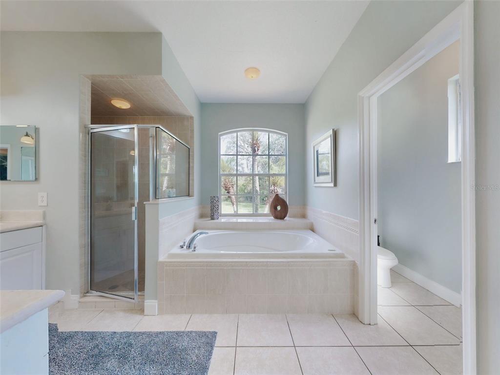 3040 Butler Ridge Road Deltona, FL 32738 - Photo 20 of 66