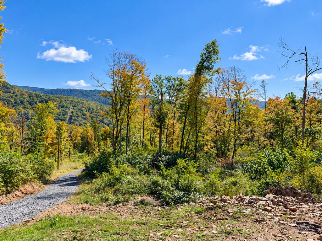 2050 Red Springs Road Meadow Bridge, WV 25976 - Photo 2 of 3 Gallery Image 2
