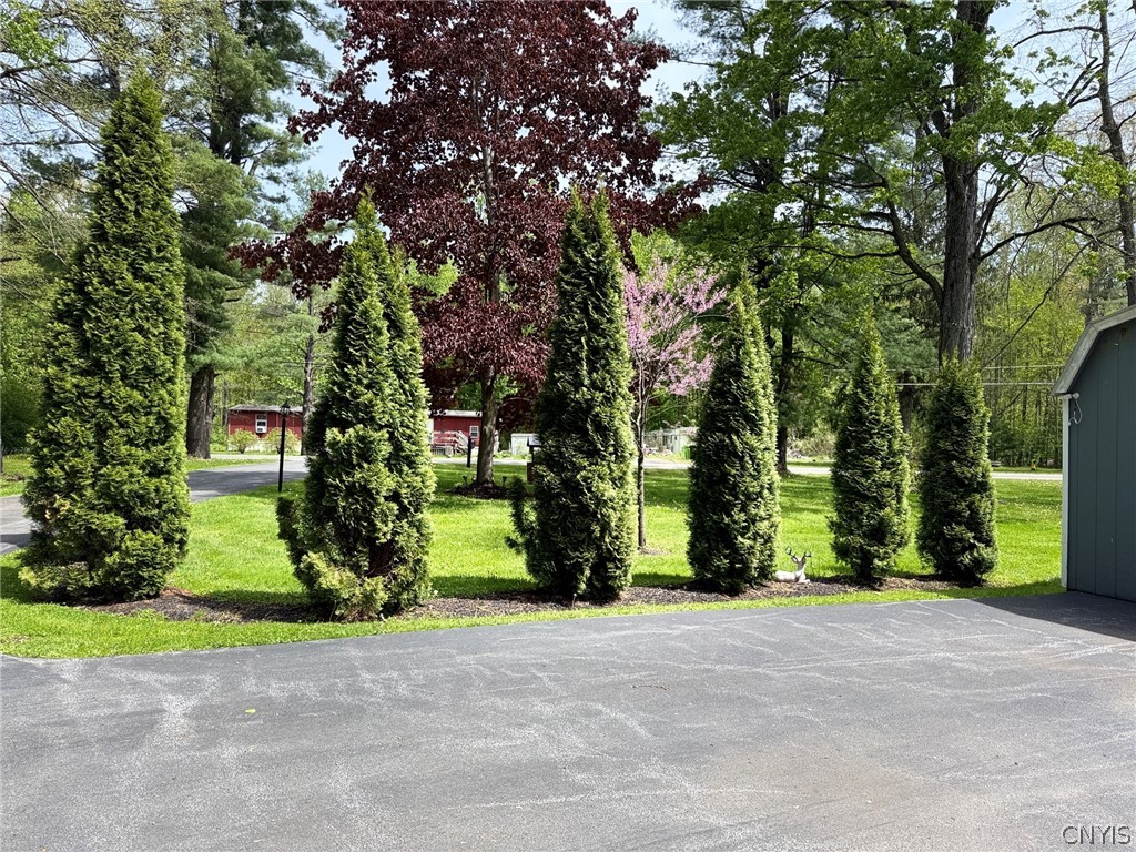 1460 Lamoy Road Sullivan, NY 13082 - Photo 8 of 15