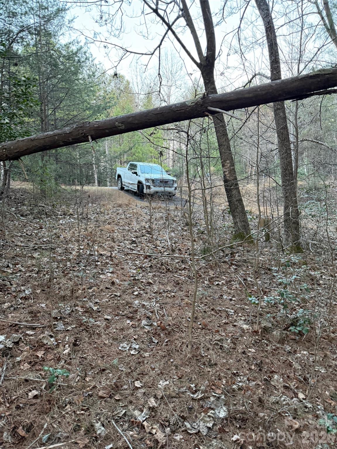 1388 Old Dry Creek Road Morganton, NC 28655 - Photo 11 of 39