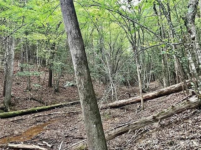 1388 Old Dry Creek Road Morganton, NC 28655 - Photo 18 of 39