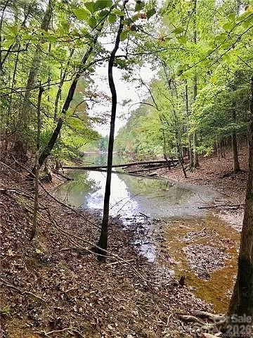 1388 Old Dry Creek Road Morganton, NC 28655 - Photo 19 of 39 a view of a yard with a tree
