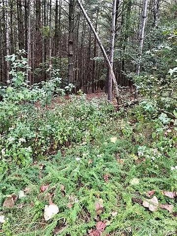 1388 Old Dry Creek Road Morganton, NC 28655 - Photo 20 of 39