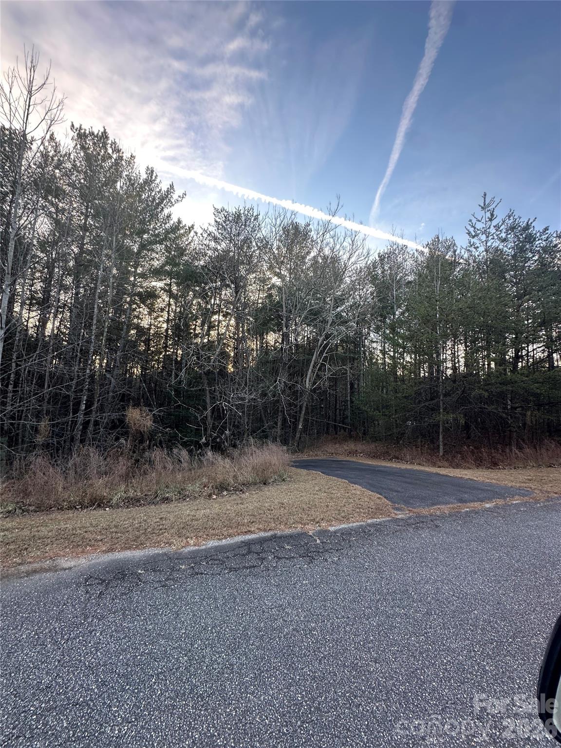 1388 Old Dry Creek Road Morganton, NC 28655 - Photo 24 of 39 a view of a yard with a tree
