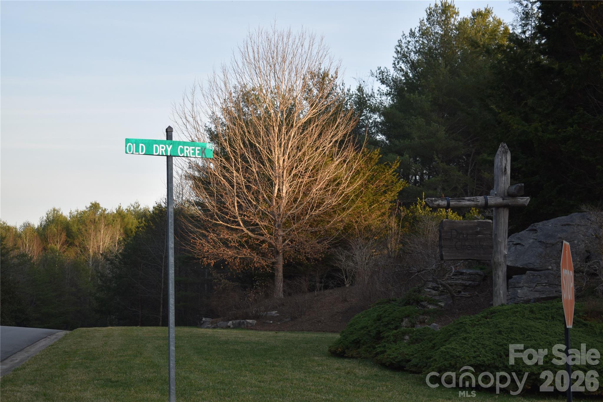 1388 Old Dry Creek Road Morganton, NC 28655 - Photo 28 of 39 a backyard of a house with lots of green space