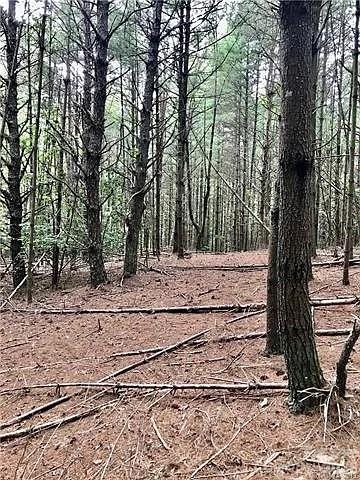 1388 Old Dry Creek Road Morganton, NC 28655 - Photo 6 of 39 a view of a yard with trees