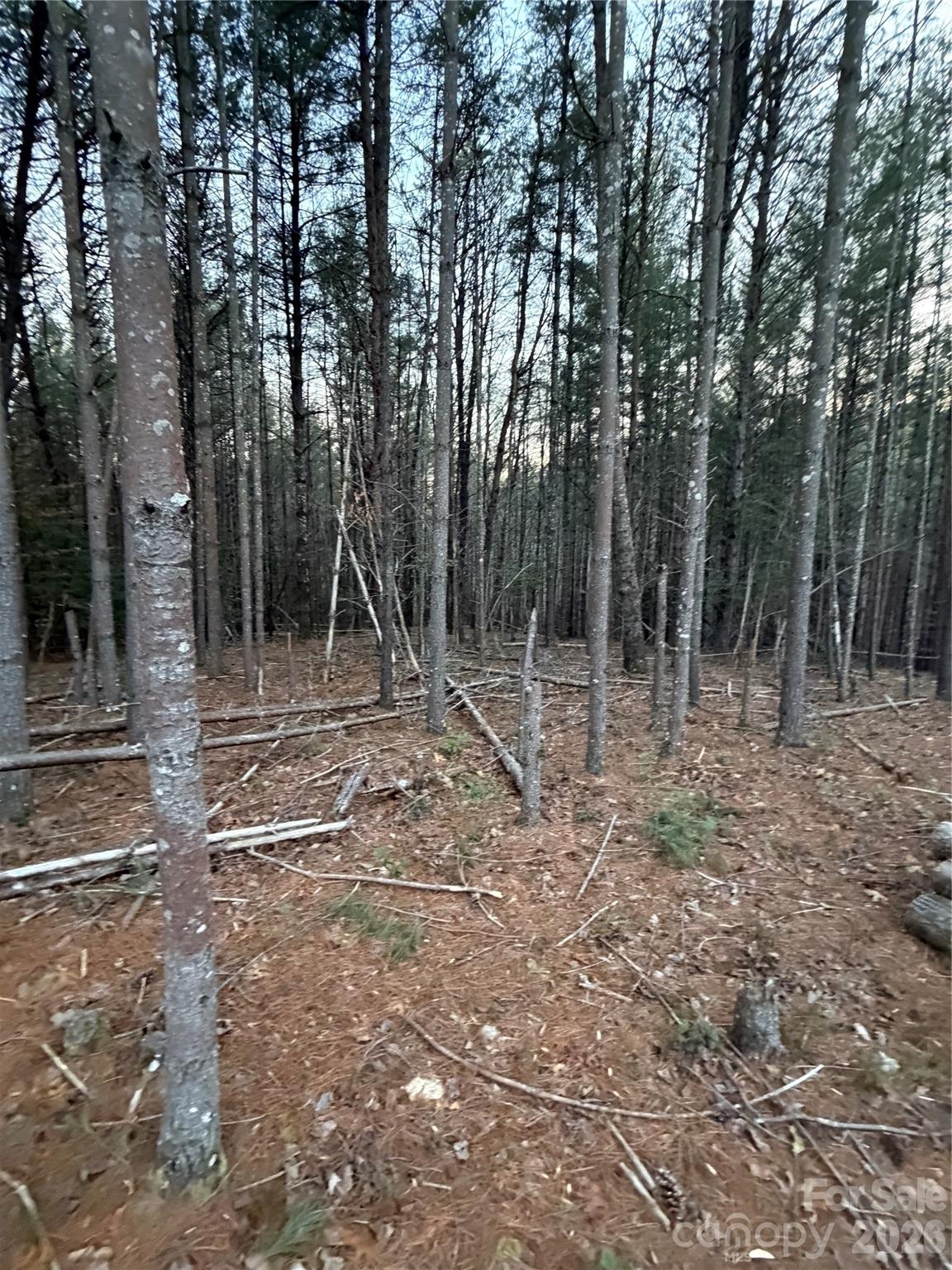 1388 Old Dry Creek Road Morganton, NC 28655 - Photo 7 of 39 a view of outdoor space with trees