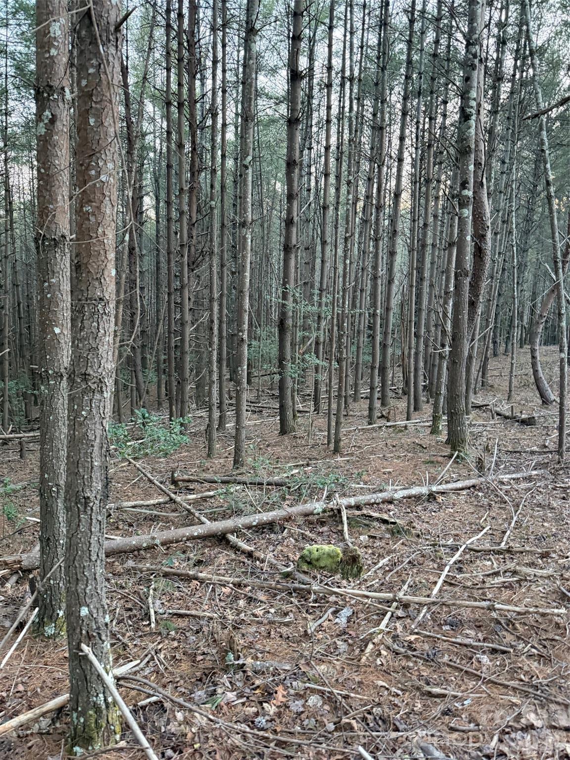 1388 Old Dry Creek Road Morganton, NC 28655 - Photo 9 of 39