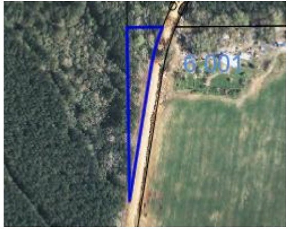 0 Gopher Ridge Road Samson, AL 36477 - Photo 2 of 2