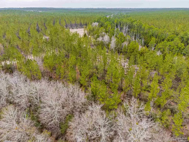 a view of lake and green space