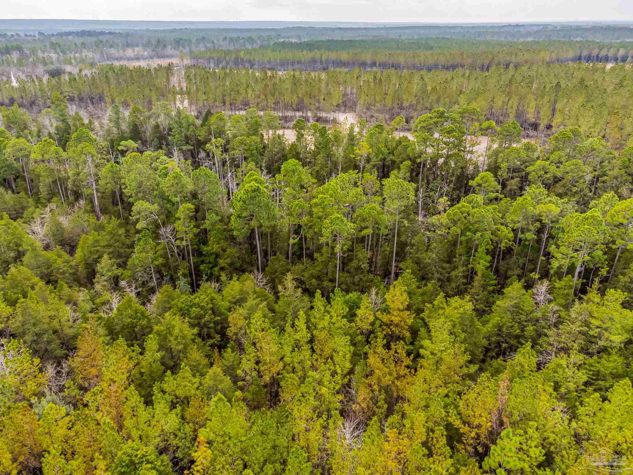 8997 Indian Ford Road, Unit PARCEL A 22 / ACRES (APPROXIMATELY) Milton, FL 32570 - Photo 21 of 36 a view of lake with mountain
