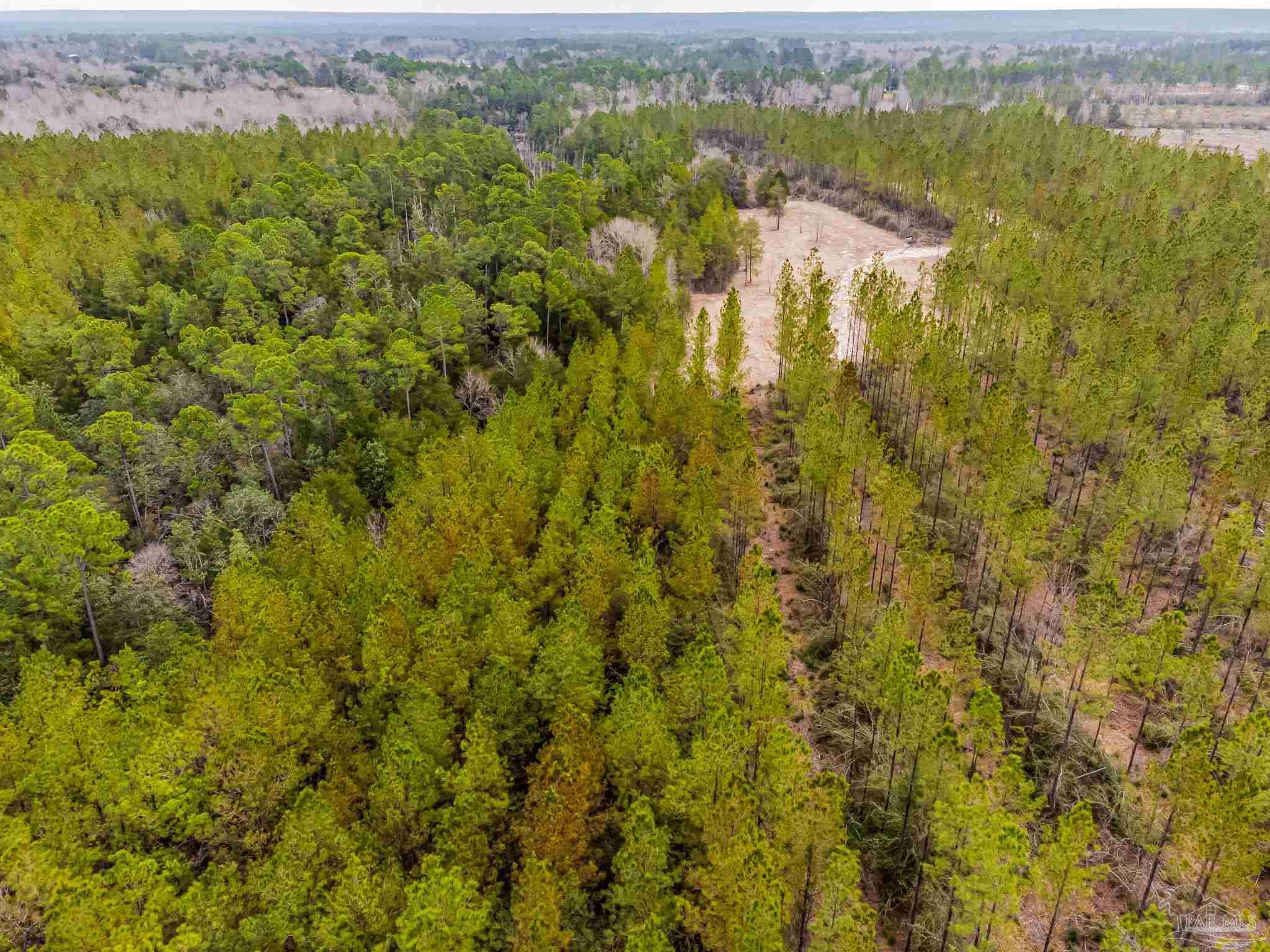 8997 Indian Ford Road, Unit PARCEL A 22 / ACRES (APPROXIMATELY) Milton, FL 32570 - Photo 24 of 36 a view of a city