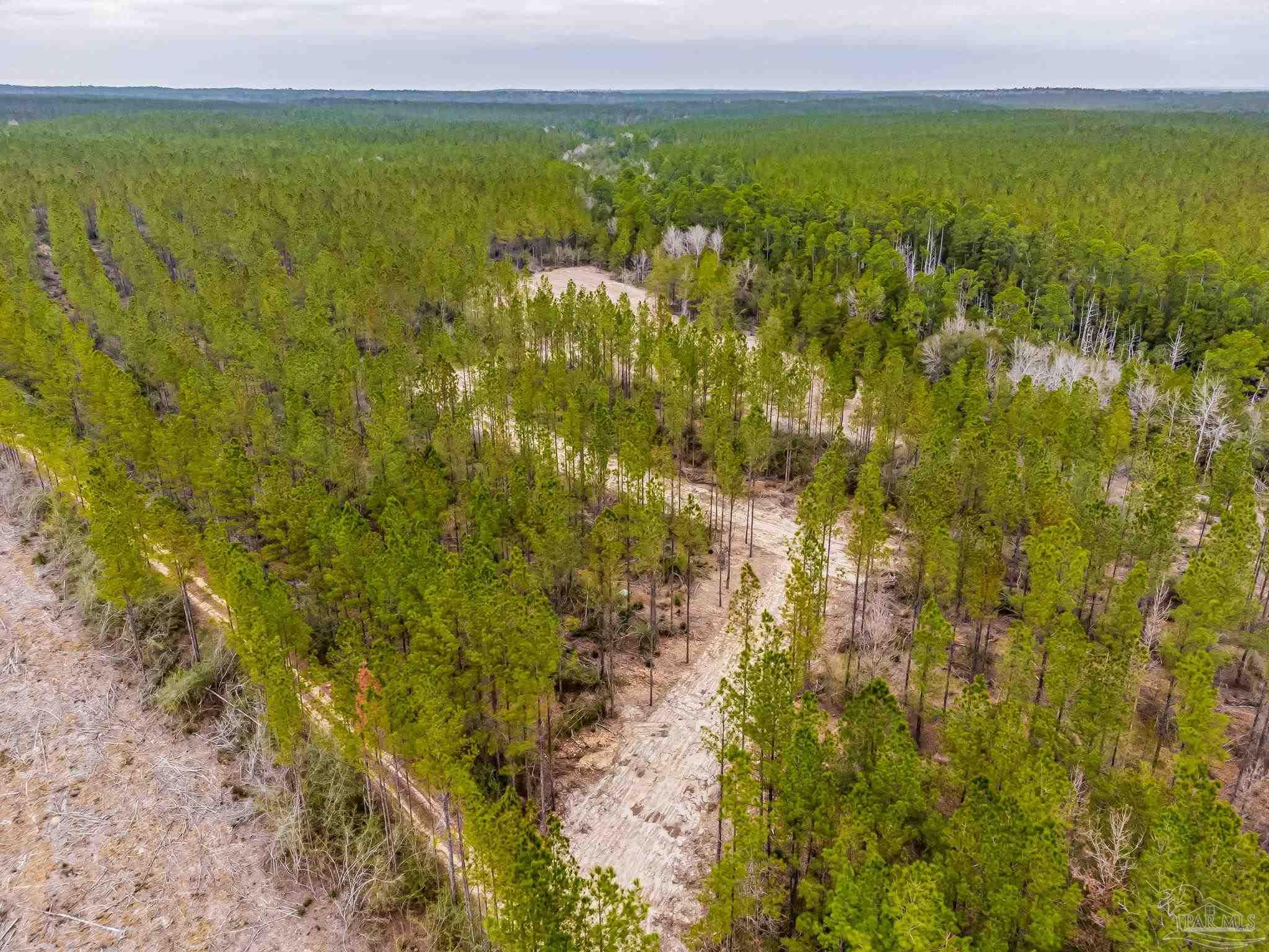 8997 Indian Ford Road, Unit PARCEL A 22 / ACRES (APPROXIMATELY) Milton, FL 32570 - Photo 30 of 36 a view of an ocean