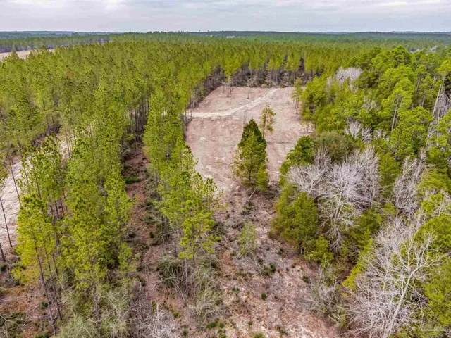 $248,000 | 8997 Indian Ford Road, Unit PARCEL A 22 / ACRES (APPROXIMATELY), Milton, FL 32570
