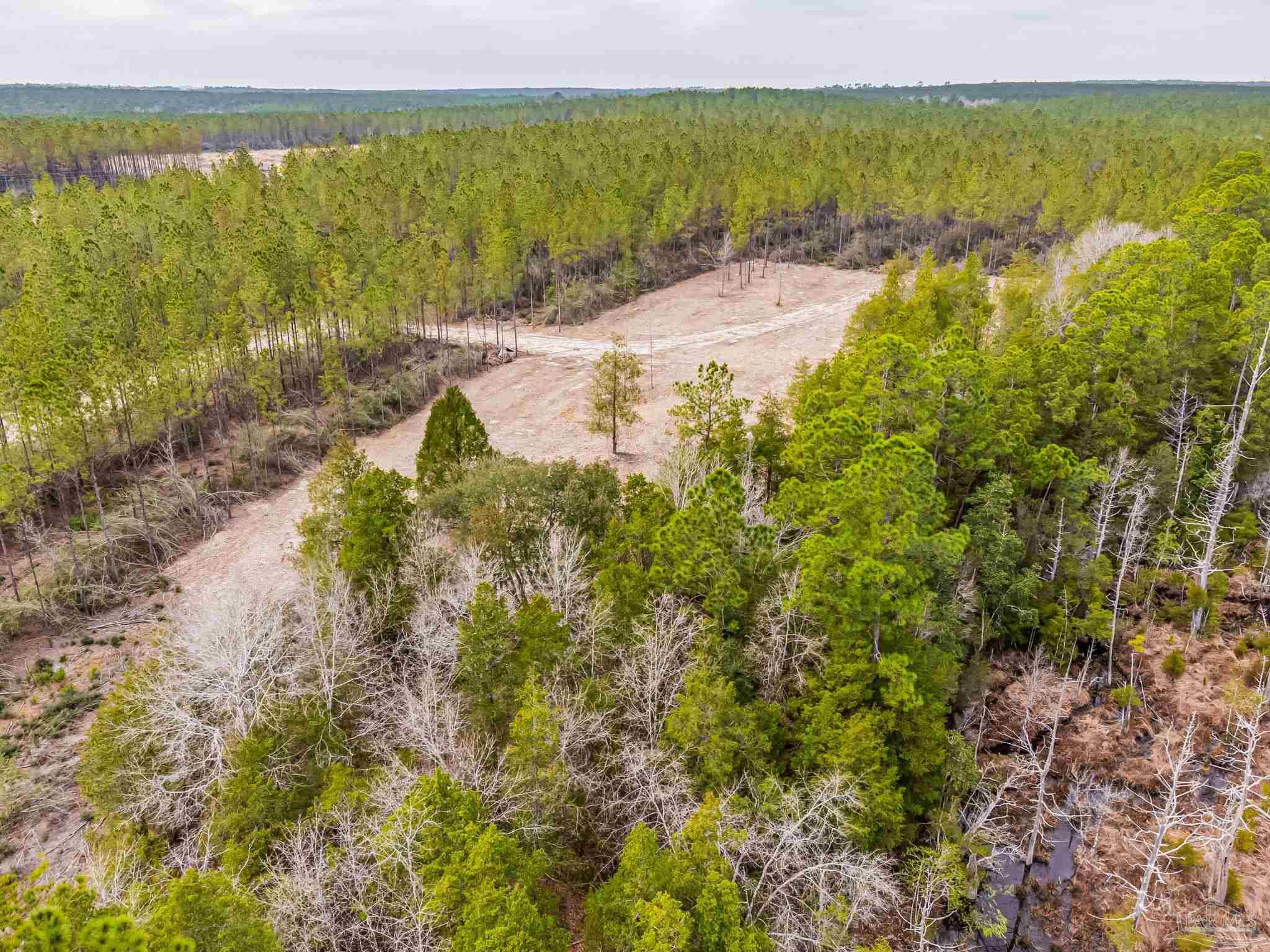 8997 Indian Ford Road, Unit PARCEL A 22 / ACRES (APPROXIMATELY) Milton, FL 32570 - Photo 36 of 36 a view of an ocean and beach